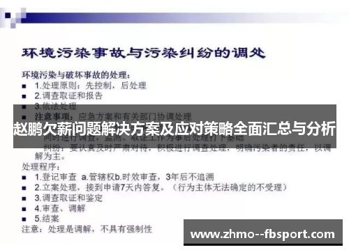 赵鹏欠薪问题解决方案及应对策略全面汇总与分析