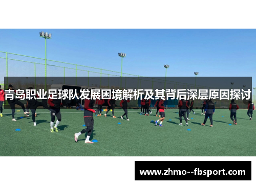 青岛职业足球队发展困境解析及其背后深层原因探讨