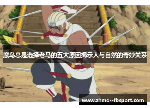 魔鸟总是选择老马的五大原因揭示人与自然的奇妙关系 魔鸟总是选择老马的五大原因揭示人与自然的奇妙关系