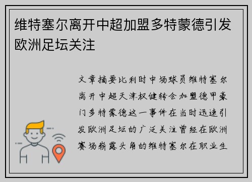 维特塞尔离开中超加盟多特蒙德引发欧洲足坛关注